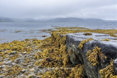 Kyle of Tongue Causeway, Scotland