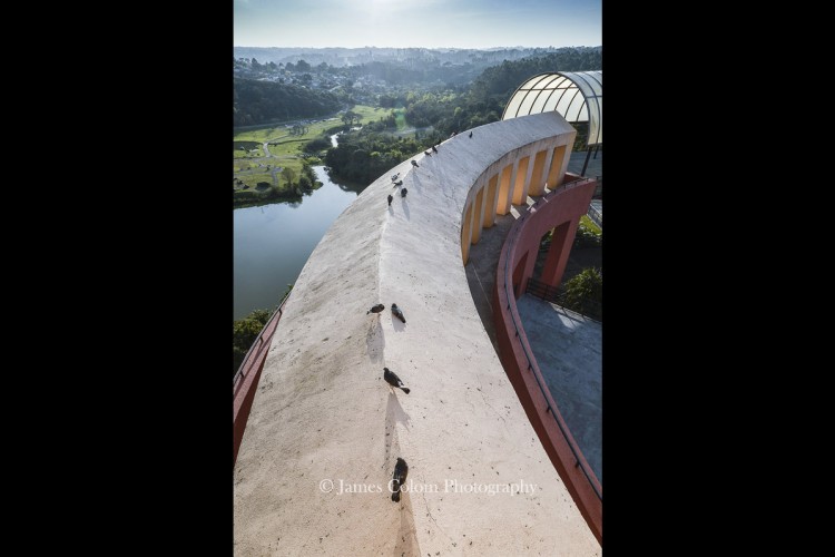 Tangua Park pigeons in Curitiba, Brazil