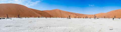 Panorama of Deadvlei at Sossusvlei in the Namib-Naukluft National Park, Namibia, Africa