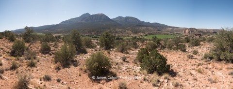 View from Sand Canyon Trail at Canyons of the Ancients National Monument, Colorado, USA